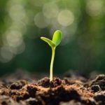 नयाँ मानिस भई हिडौं