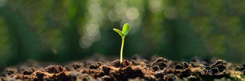 नयाँ मानिस भई हिडौं